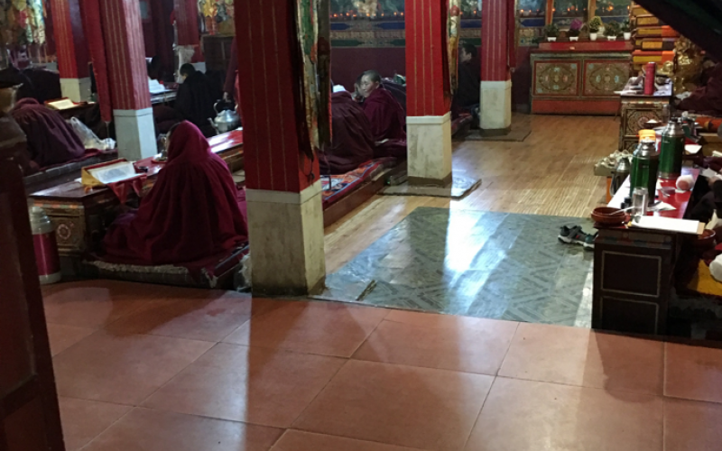 Nuns chanting together on the first day of Saga Dawa