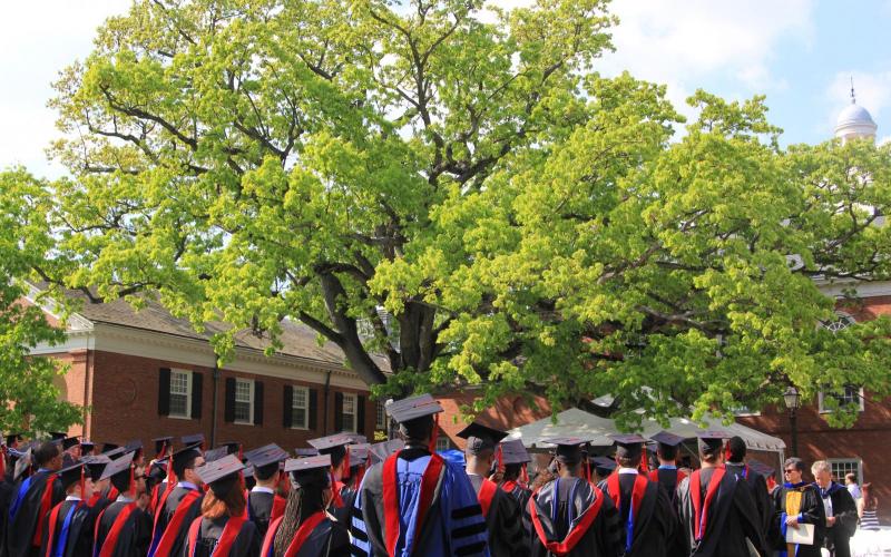 Graduates during the ceremony