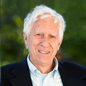 Nicholas Wolterstorff