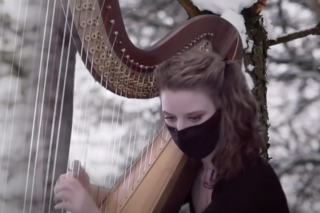 Woman playing the harp