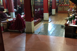 Nuns chanting together on the first day of Saga Dawa