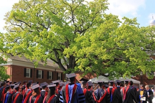 Graduates during the ceremony