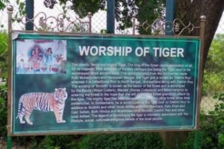 Worship of Tiger, Sundarban Tiger Reserve, West Bengal, India. Photo by Subhankar Banerjee