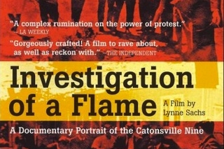 Investigation of the flame promo