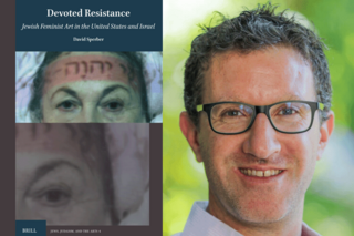 Book by David Sperber, Devoted Resistance