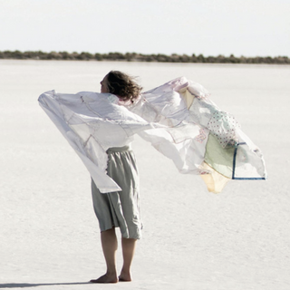 artist on the beach with a sheet in the wind