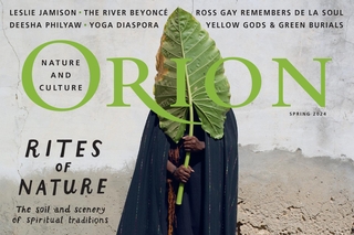 Orion Rights of Nature promo