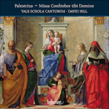 Album Cover: Palestrina: Missa Confitebor tibi Domine and other works. Yale Schola Cantorum, David Hill, conductor.
